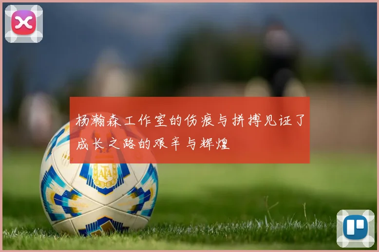 杨瀚森工作室的伤痕与拼搏见证了成长之路的艰辛与辉煌