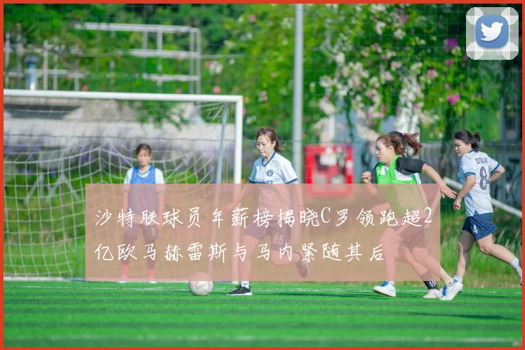 沙特联球员年薪榜揭晓C罗领跑超2亿欧马赫雷斯与马内紧随其后
