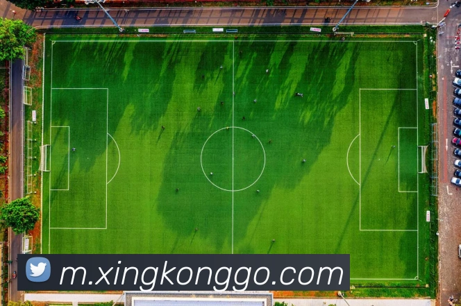 App Interface Preview