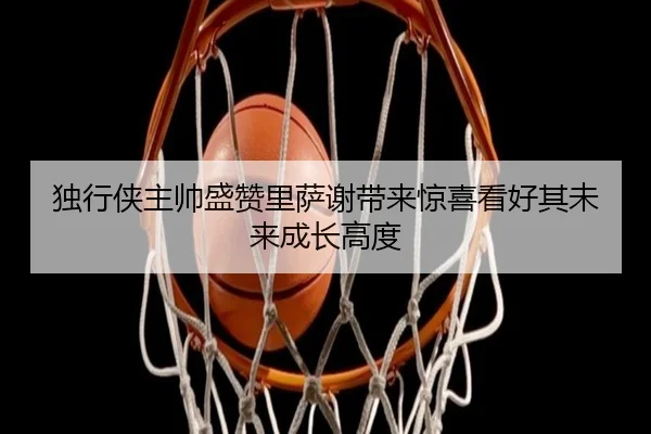 独行侠主帅盛赞里萨谢带来惊喜看好其未来成长高度